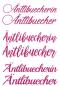 Preview: Autoaufkleber Äntlibuecher/in 40cm - pink