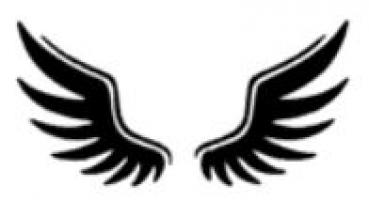 Stern Nachtlicht mit Flügel