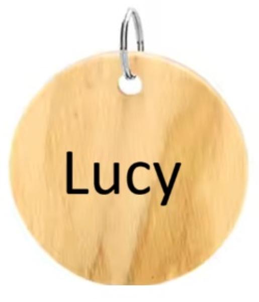 Hundemarke Holz rund 30mm