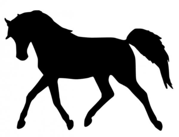 Stern Nachtlicht mit Pferd 1