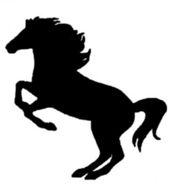 Stern Nachtlicht mit Pferd