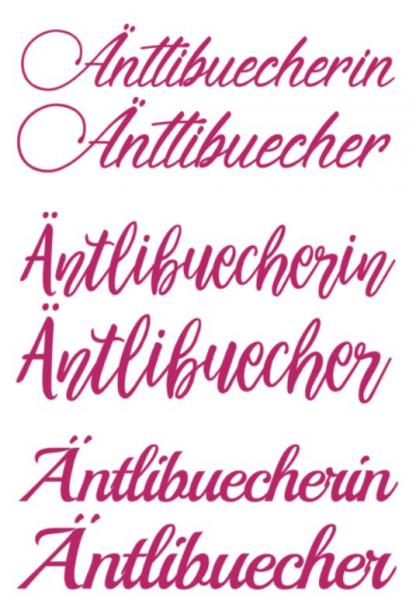 Autoaufkleber Äntlibuecher/in 40cm - pink