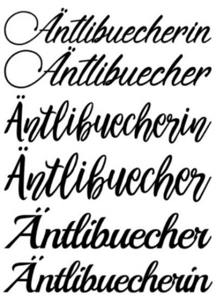 Autoaufkleber Äntlibuecher/in 40cm - schwarz